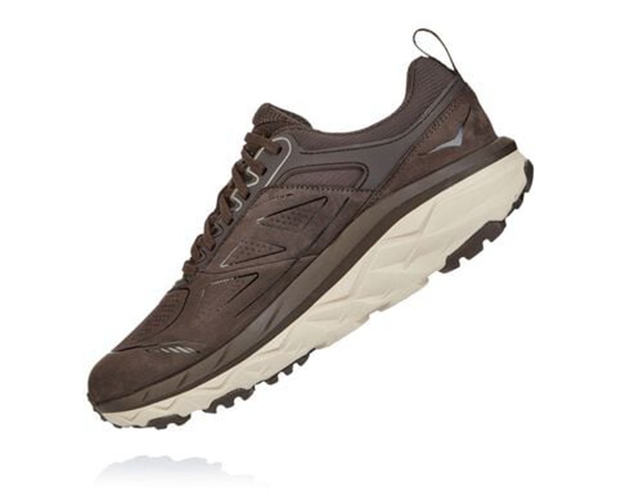 Zapatillas Trail Hoka One One Hombre - Challenger Bajas Gore-Tex - Marrones - UNX950872